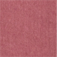 81